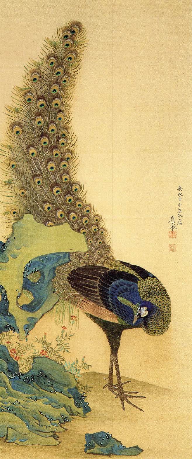 picture of Peacock by Maruyama Ōkyo